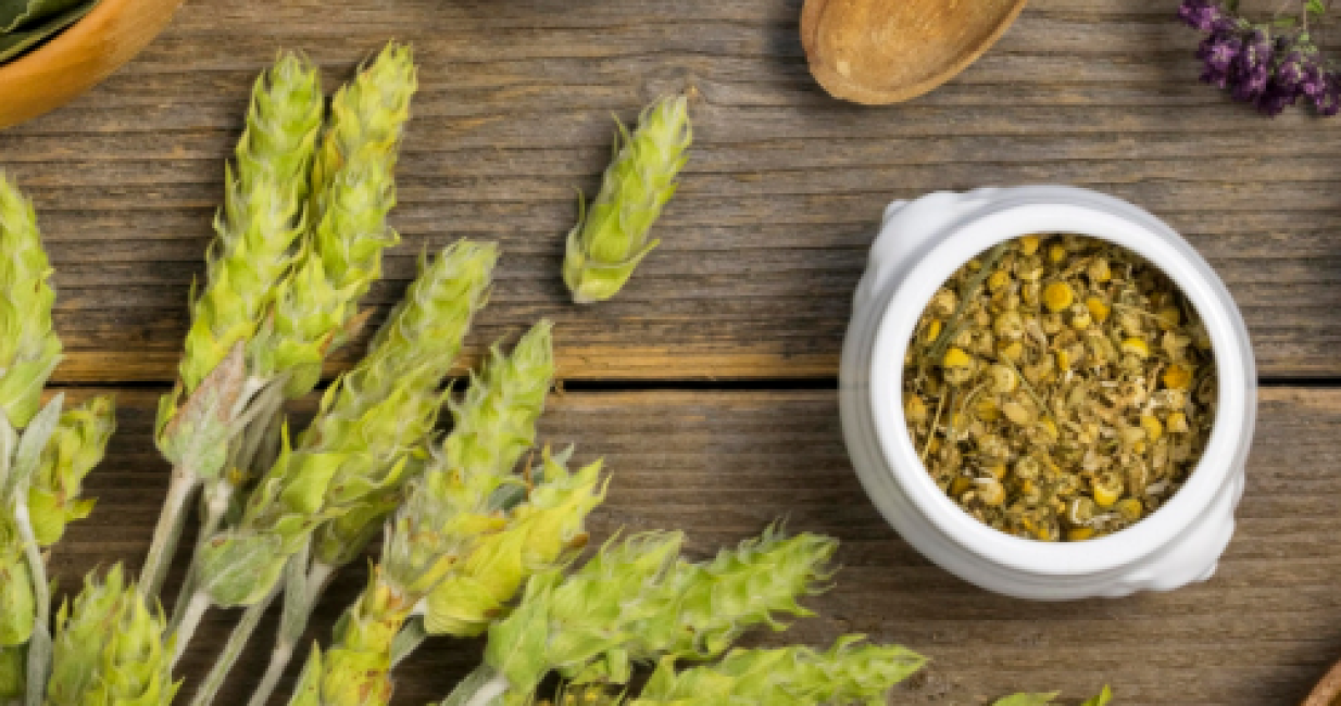 herbal (2)